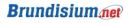 Brundisium.net